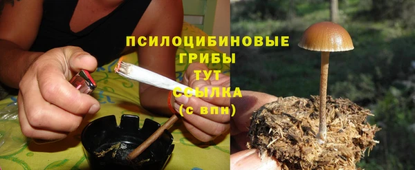 герыч Белокуриха