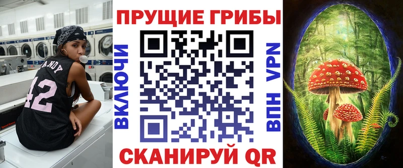 Псилоцибиновые грибы Psilocybe  закладки  Кондрово 